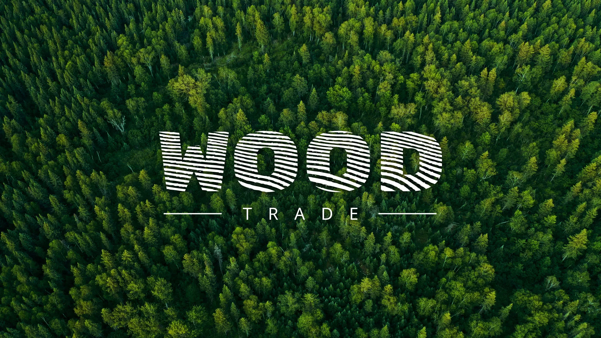 Разработка интернет-магазина компании «Wood Trade» в Вилючинске