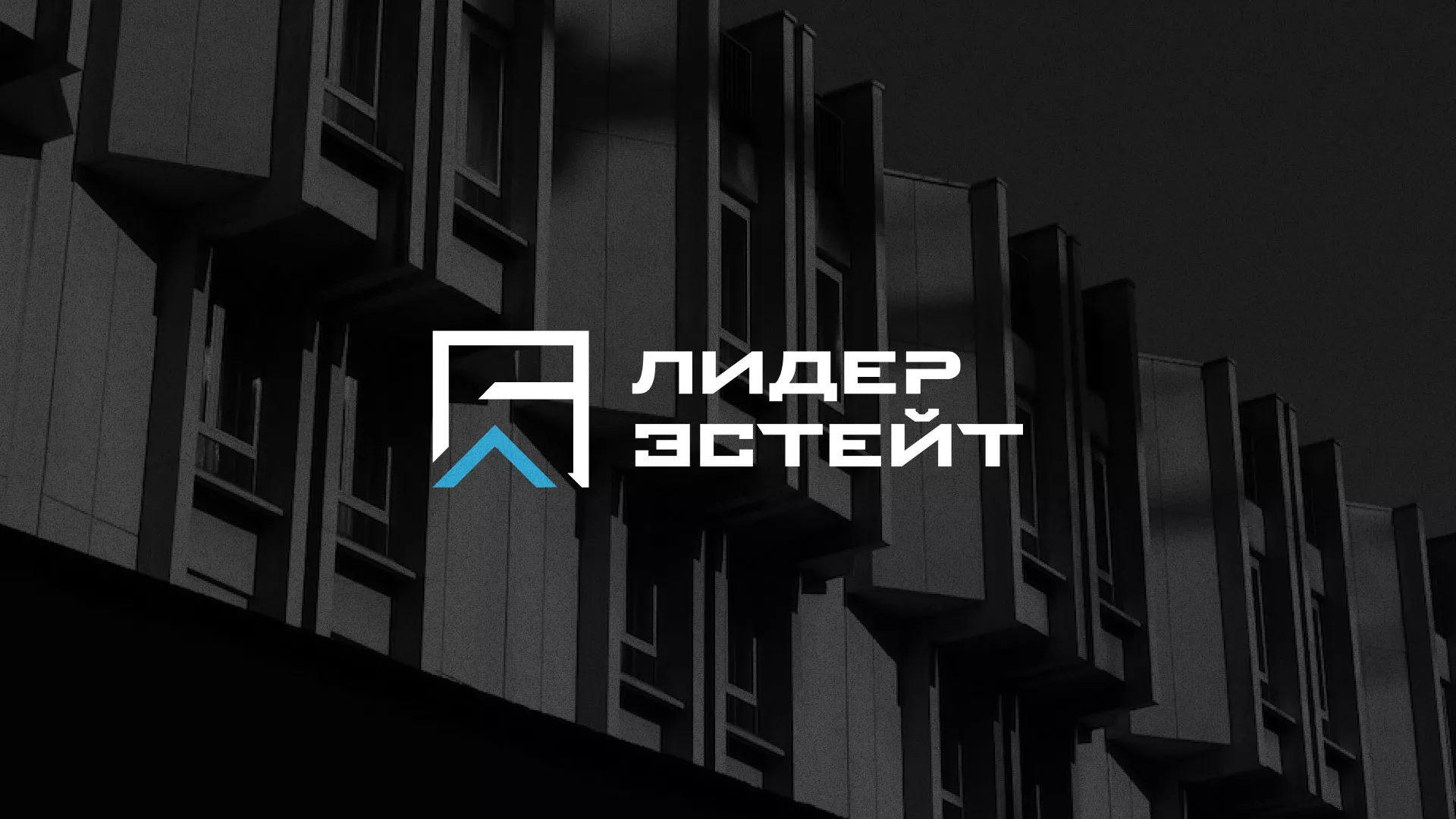 Разработка логотипа агентства недвижимости «Лидер Эстейт» в Вилючинске