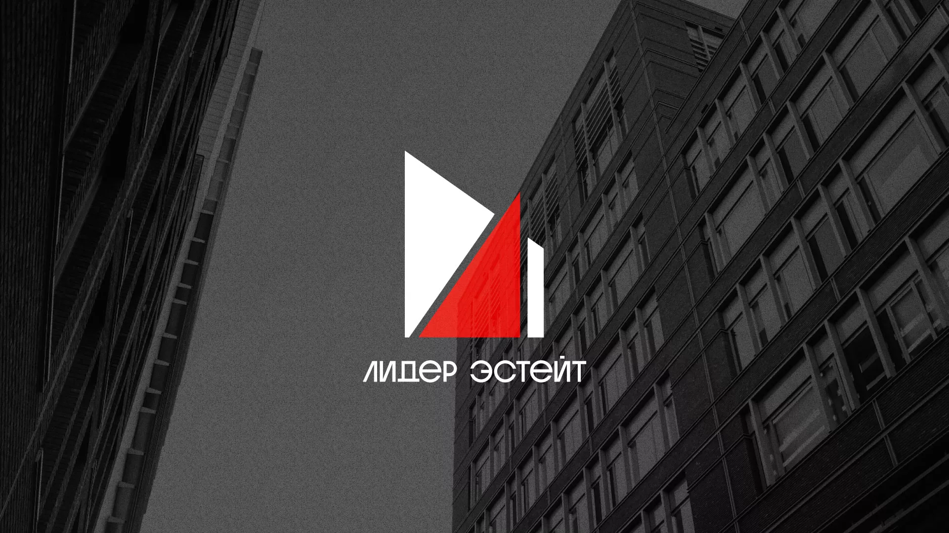 Сделали логотип для агентства недвижимости «Лидер Эстейт» в Вилючинске