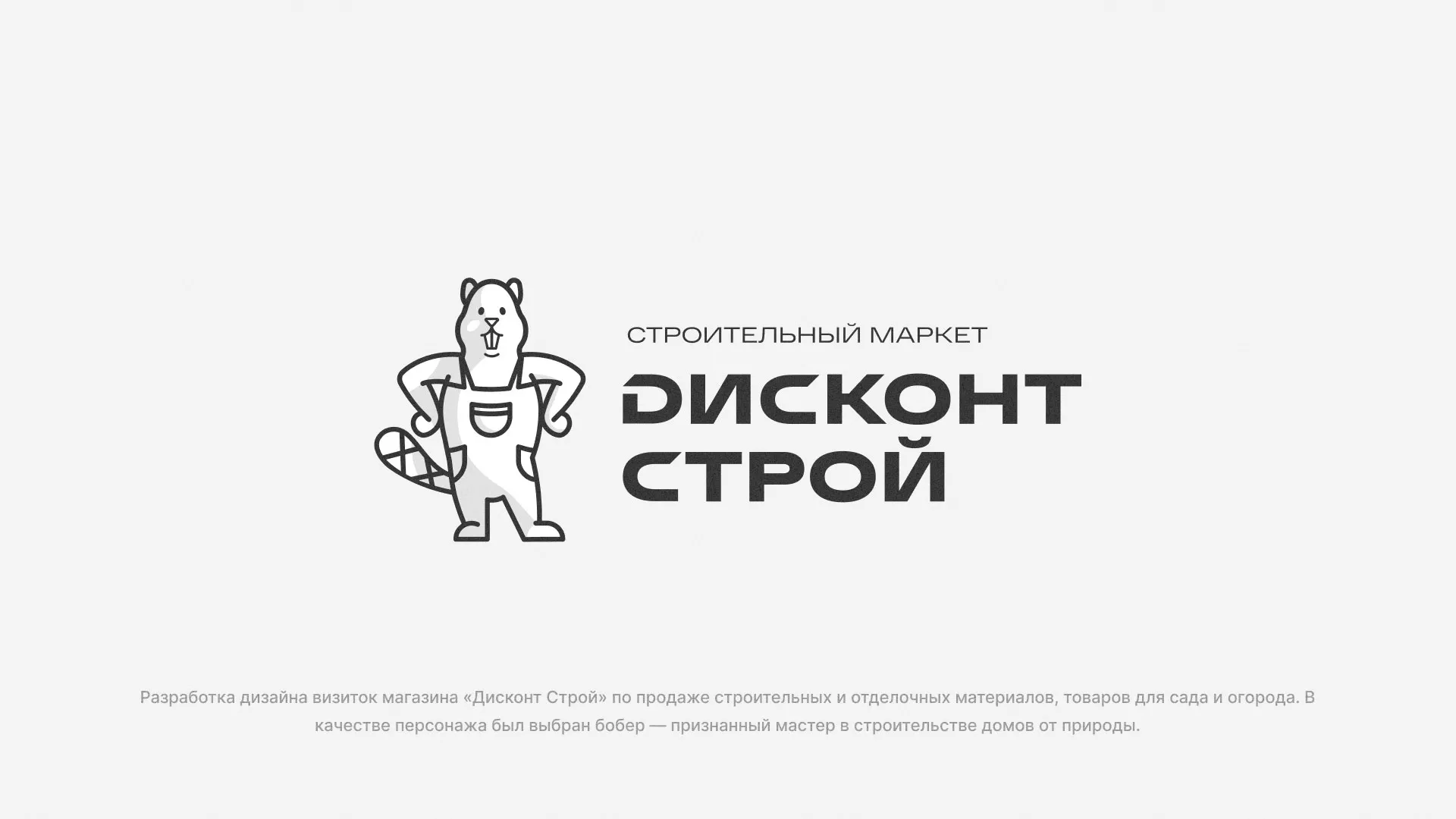 Разработка дизайна визиток магазина «Дисконт Строй» в Вилючинске
